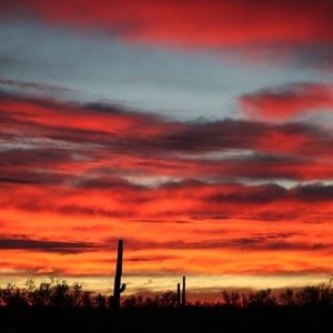 Meet your Posher, Marla